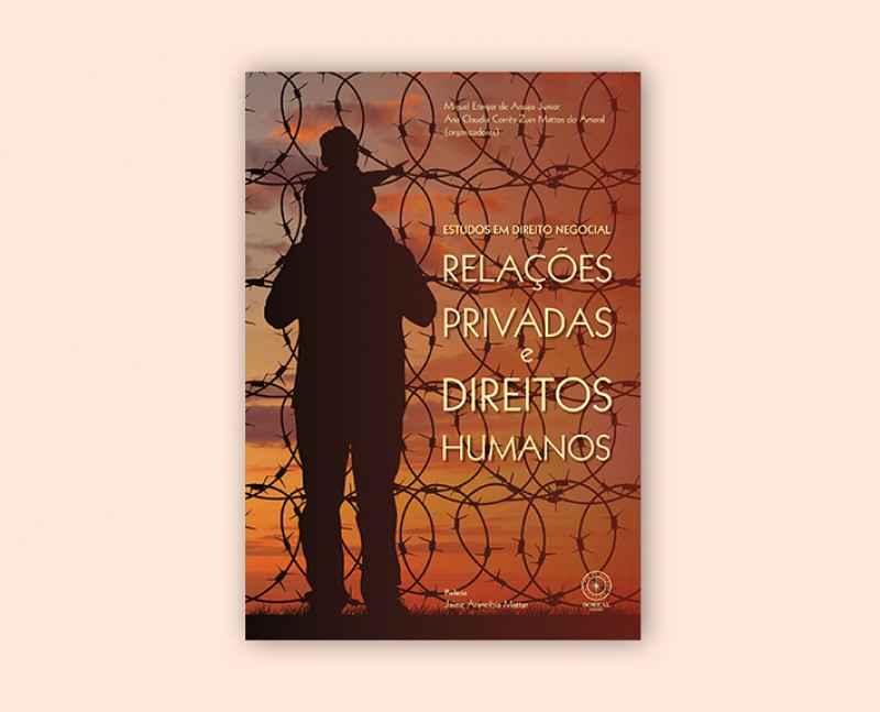 Relações Privadas e Direitos Humanos 